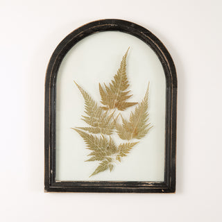 Black Arched Botanical Wall Décor