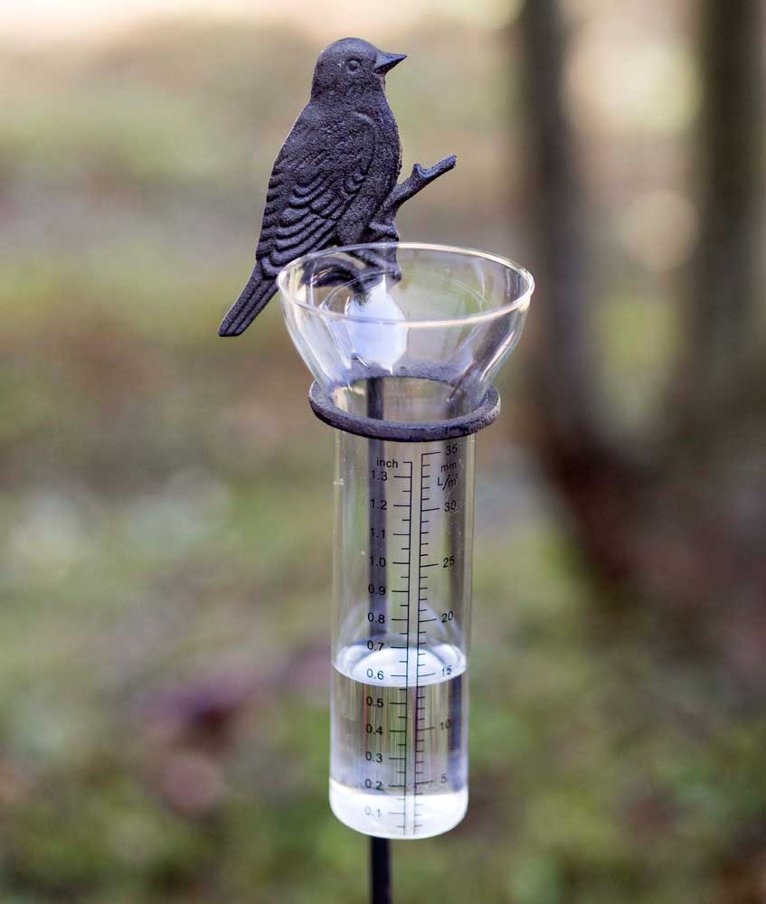 Songbird Rain Gauge Garden Stake - River Chic Designs