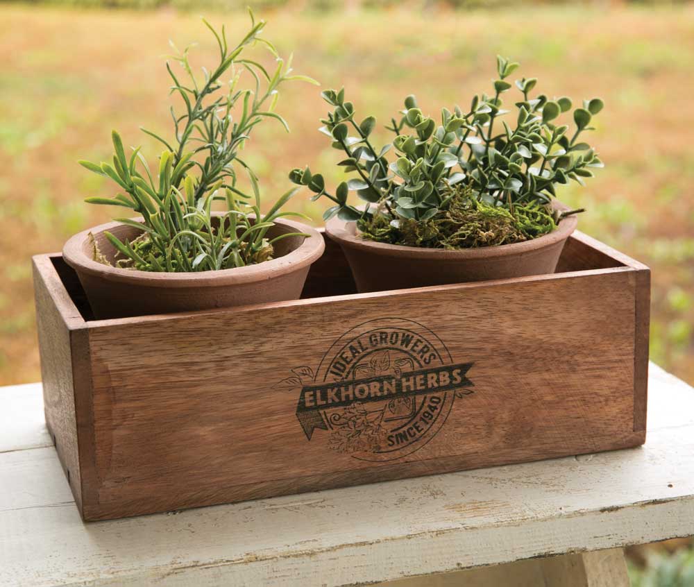 Elkhorn Herbs Planter with Two Pots - River Chic Designs