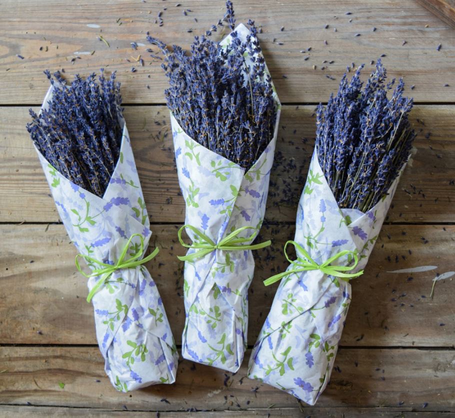 Provencal Dried Lavender – Fern Botanica